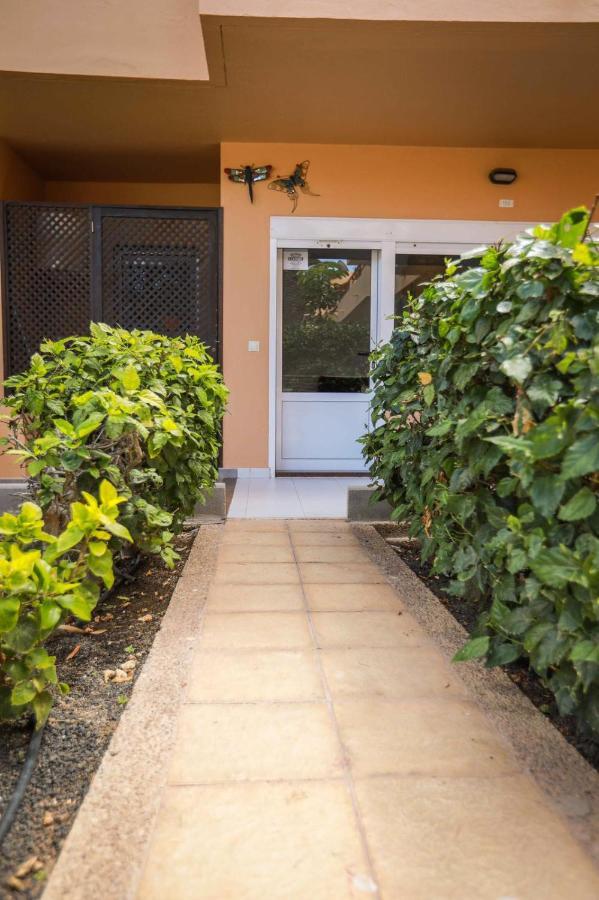 Apartamento Las Vistas 3 Κοραλέχο Εξωτερικό φωτογραφία