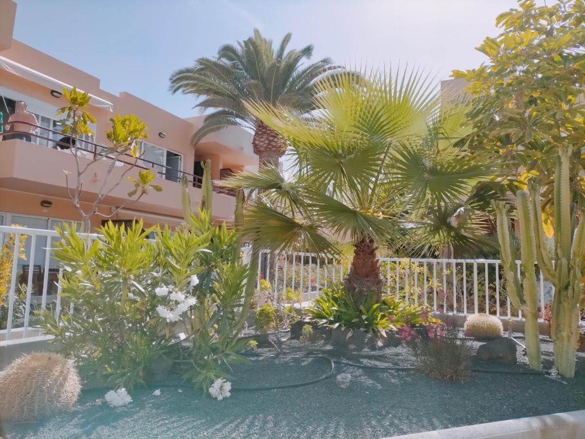 Apartamento Las Vistas 3 Κοραλέχο Εξωτερικό φωτογραφία